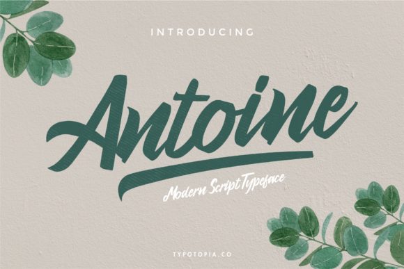 Antoine: The Elegant Script Font for Editorial Design