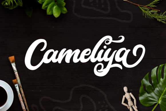 Cameliya: The Retro Bold Script Font for Crafters