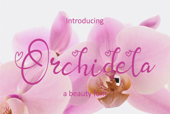 Orchidela: The Elegant Script Font for Campaigns