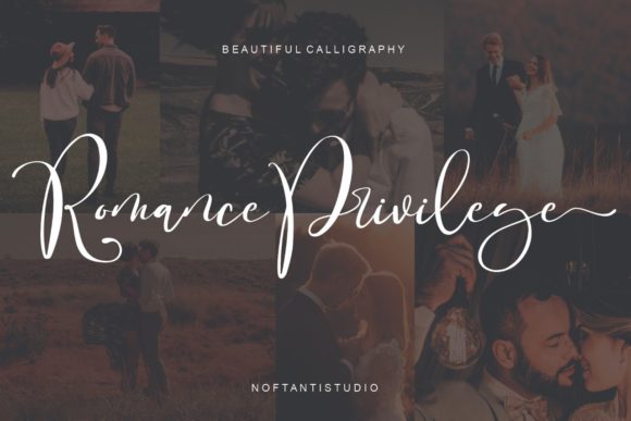 Romance Privilege: A Premium Script Font for Branding